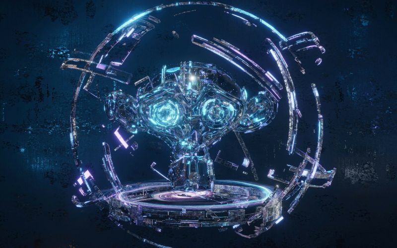 金轮今天吃什么